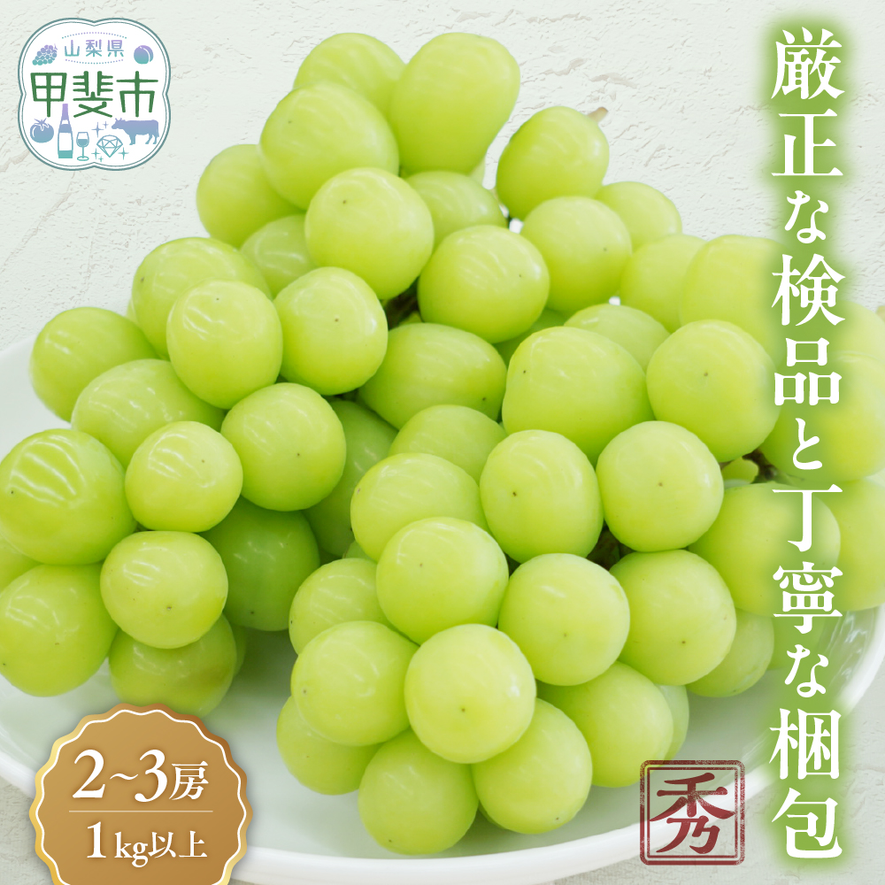 【2026年発送分】シャインマスカット「こ