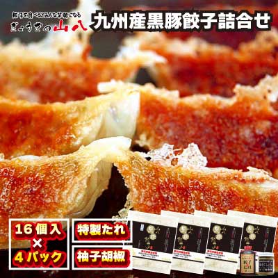 これぞ餃子!!　九州産黒豚餃子詰合せ　(福