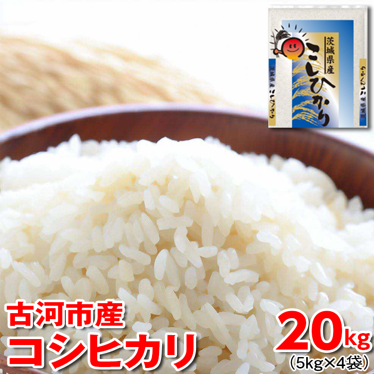 [新米]令和7年産 古河市産 コシヒカリ 20kg(5kg×4袋) | 米 こめ コメ 20キロ こしひかり コシヒカリ 古河市産 茨城県産 贈答 贈り物 プレゼント 茨城県 古河市 直送 産地直送 送料無料 ※2025年9月上旬頃より順次発送予定 _DP24