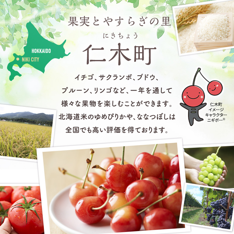 [先行受付] 北海道 仁木町産 摘みたて 完熟 生ブルーベリー 約1kg （500g×2）サイズ混載 果物 くだもの ブルーベリー フルーツ [峠のふもと紅果園]