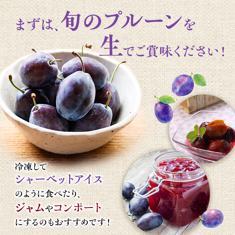 [先行受付] 【8月発送】北海道 仁木町産 おすすめプルーン1.6kg（400g×4パック） 果物類 果物 くだものフルーツ 果物詰合せ プルーン [和田農園]