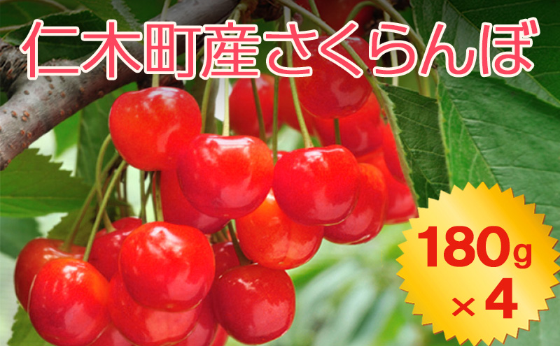 北海道 仁木町産 さくらんぼ 720g（180g×4パック） 2Lサイズ以上 「佐藤錦」もしくは「紅秀峰」 旬の果物 産地直送 サクランボ チェリー フルーツ 果物 果物類  北海道産 仁木町 仁木  [JA新おたる]