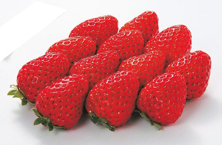 〈定期便〉【2・7・8月 全3回】和歌山厳選フルーツ（いちご・桃・シャインマスカット ）◇ ※離島への配送不可