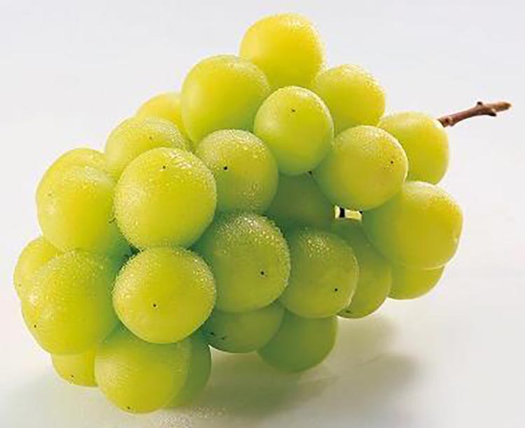 〈定期便〉【2・7・8月 全3回】和歌山厳選フルーツ（いちご・桃・シャインマスカット ）◇ ※離島への配送不可