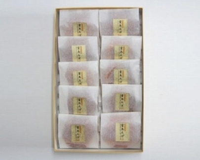 【無添加】九度山あんぽ柿「蜜あんぽ」大きめサイズ10袋入り ※2025年12月中旬～2026年3月上旬頃に順次発送予定