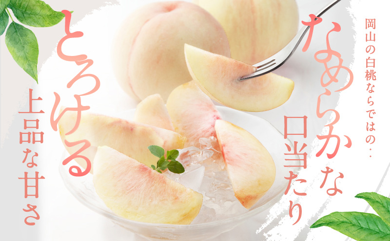 岡山県里庄町のふるさと納税 桃 2026年 先行予約 白桃 3玉 合計約800g もも モモ 岡山県産 国産 フルーツ 果物 ギフト