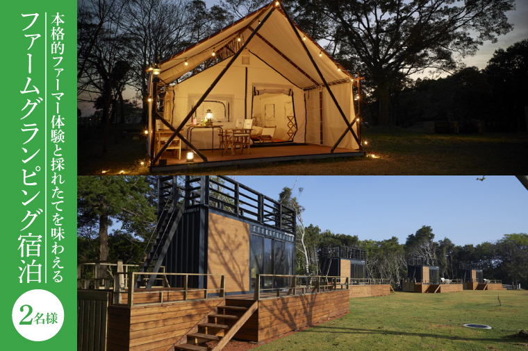 茨城県行方市のふるさと納税 FJ-5　本格的ファーマー体験と採れたてを味わえるファームグランピング宿泊(2名様)