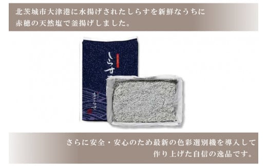 AS203　大津港水揚げのしらす干し１kg
