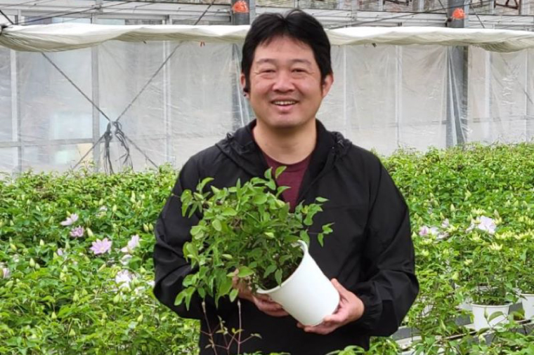 【先行予約】【長谷川園芸】オリジナル クレマチス「花園」５寸 【母の日 ギフト プレゼント 贈答 花のある生活】(AT212)