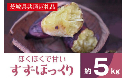 【茨城県北茨城市】ホクホクで甘いさつまいも すずほっくり5kg(茨城県共通返礼品・行方市産)(AK205)