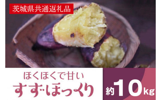 【茨城県北茨城市】ホクホクで甘いさつまいも すずほっくり10kg(茨城県共通返礼品・行方市産)(AK206)