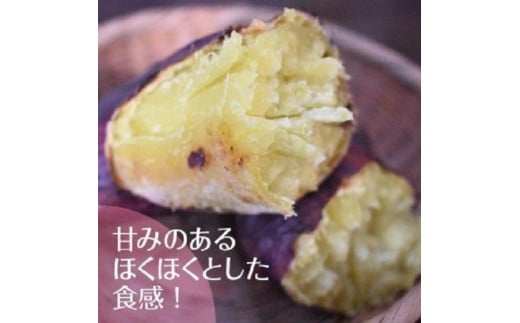 ホクホクで甘いさつまいも すずほっくり10kg（茨城県共通返礼品・行方市産）(AK206)