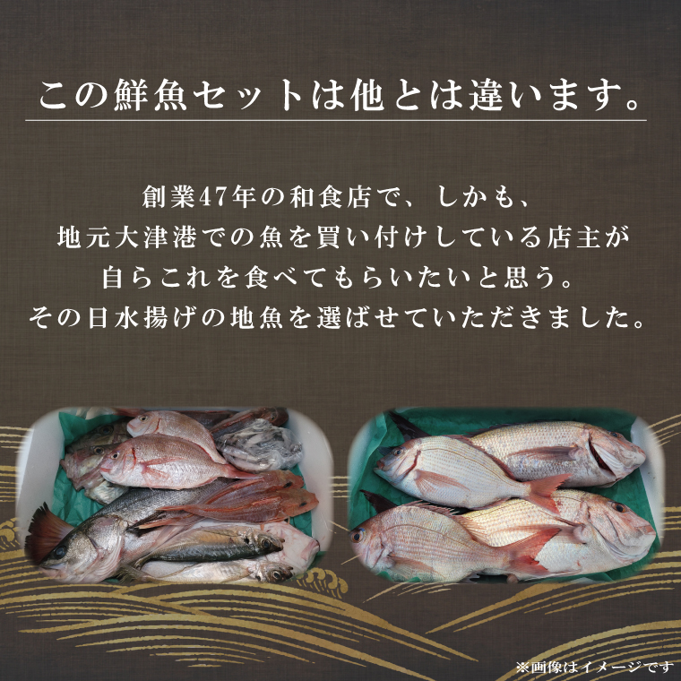 飲食店『食彩太信』店主が選ぶ！大津港地魚鮮魚セット　下処理済み【賞味期限：到着後、冷蔵保存で3日間】(AA205)