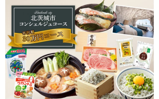 【提案型】コンシェルジュコース（30万円）(BM103)