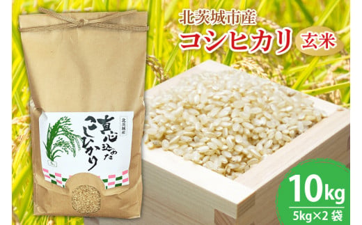 BN001-1　【先行予約】【令和６年産】【数量限定】　コシヒカリ玄米10kg