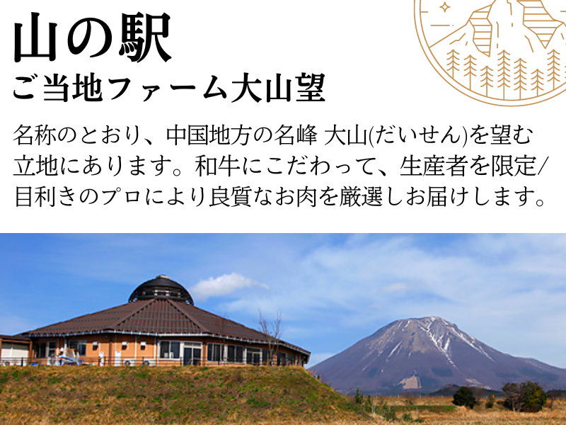 鳥取県江府町のふるさと納税 鳥取和牛肩ロース・モモスライスセット 計500g 鳥取県産 ご当地ファーム大山望 MK3 0994