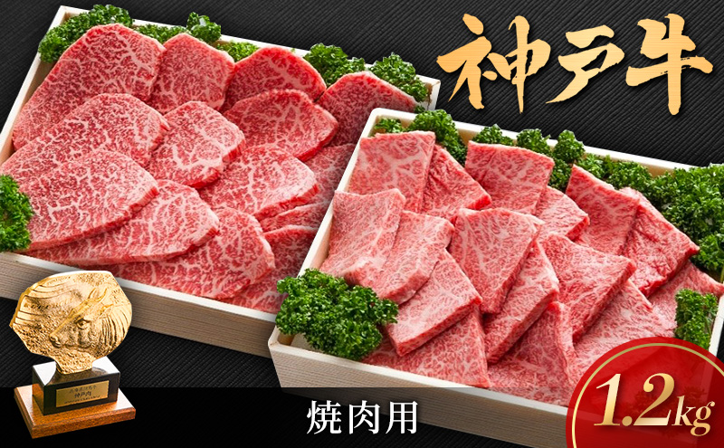 【兵庫県加西市】神戸ビーフ 焼き肉用 セット 詰め合わせ 1.2kg KSYS5 肩ロース ロース 肩肉 もも肉 神戸牛 和牛 国産牛 国産牛肉 牛肉 牛 肉 お肉 焼き肉用肉 焼き肉 焼肉 焼肉用肉 ロース肉 牛ロース 牛ロース肉 アウトドア キャンプ