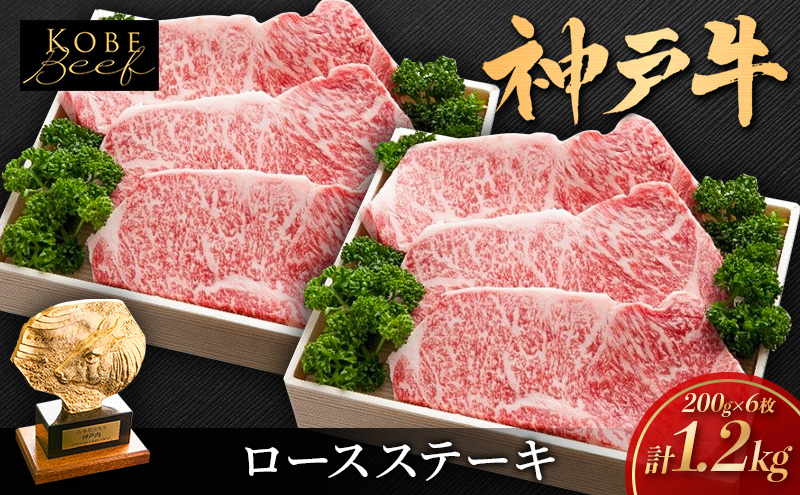 yɌsz_˃r[t [XXe[L 1.2kg (200g×6) Zbg lߍ킹 KSST6 _ˋ a Y Y     Xe[L Xe[L [X [X Xe[LZbg AEghA Lv