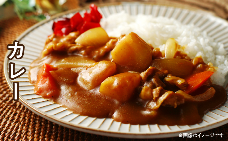 宮崎県日南市のふるさと納税 豚こま切れ 計4kg お肉 豚肉 小間切れ 豚こま ポーク 食品 スライス 切落し おかず お弁当 おつまみ 万能食材 国産 宮崎県産 焼肉 カレー 豚丼 豚汁 炒め物 大容量 小分け お祝い 記念日 ギフト おすすめ お取り寄せ グルメ 冷凍 宮崎県 日南市 送料無料_CA50-24