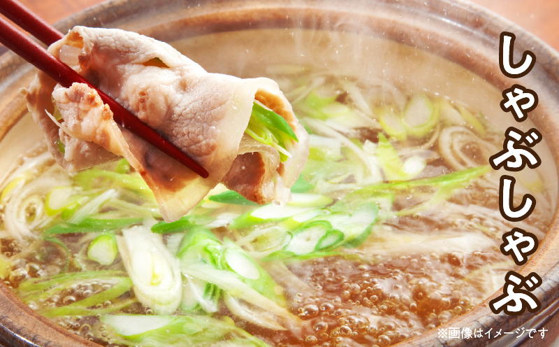 宮崎県日南市のふるさと納税 豚こま切れ 計4kg お肉 豚肉 小間切れ 豚こま ポーク 食品 スライス 切落し おかず お弁当 おつまみ 万能食材 国産 宮崎県産 焼肉 カレー 豚丼 豚汁 炒め物 大容量 小分け お祝い 記念日 ギフト おすすめ お取り寄せ グルメ 冷凍 宮崎県 日南市 送料無料_CA50-24