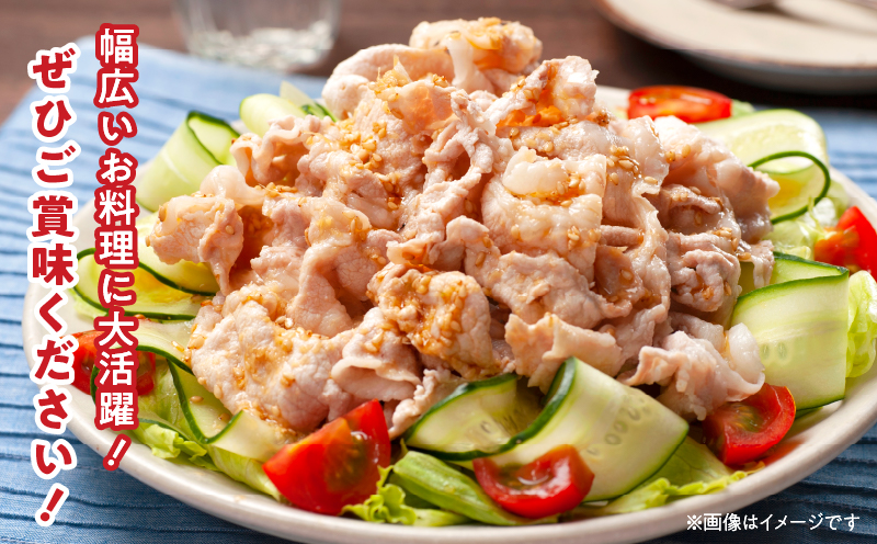 宮崎県日南市のふるさと納税 豚こま切れ 計4kg お肉 豚肉 小間切れ 豚こま ポーク 食品 スライス 切落し おかず お弁当 おつまみ 万能食材 国産 宮崎県産 焼肉 カレー 豚丼 豚汁 炒め物 大容量 小分け お祝い 記念日 ギフト おすすめ お取り寄せ グルメ 冷凍 宮崎県 日南市 送料無料_CA50-24