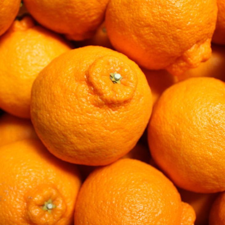 ZD7001_【お味濃厚】【2026年先行予約】紀州有田産 の デコポン 約5kg (18玉～24玉入り・青秀以上)