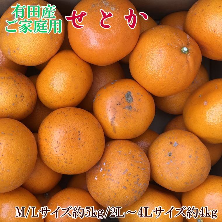 V7031_バレンシアオレンジ 約5kg 湯浅町田村産 (無選別・果実