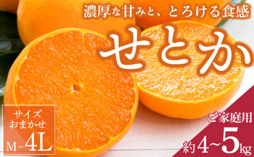 ya̎RLcS󒬁zZD7003_y2026Ns\zx͐HׂĂ LcŶƂ y󂠂 ƒpz 4kg`5kg (TCY܂)