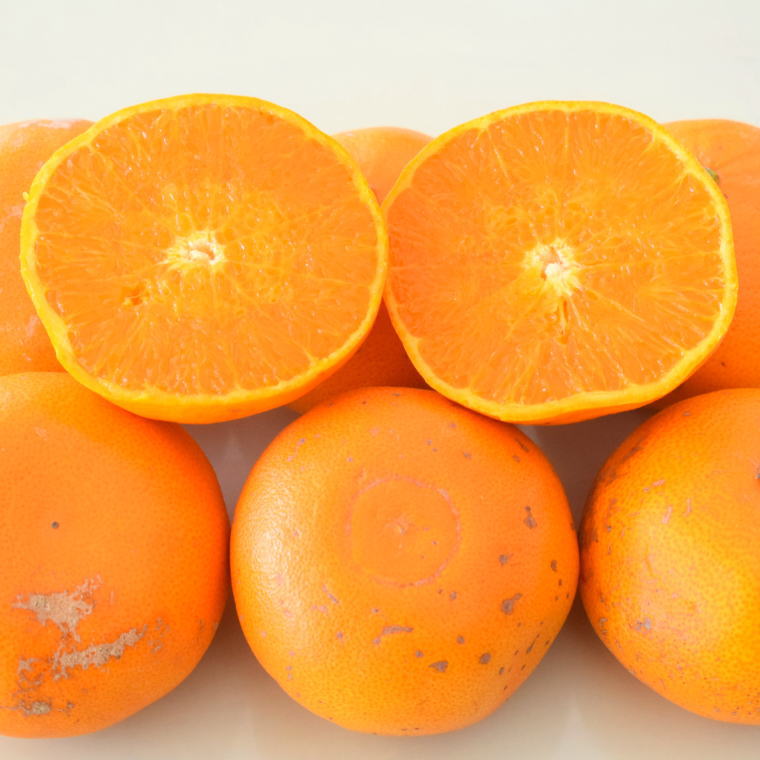 ZD7003_【2026年先行予約】一度は食べていただきたい 有田産のせとか 【訳あり 家庭用】 4kg～5kg (サイズおまかせ)