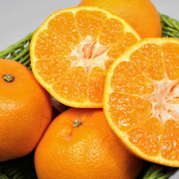 ZD7004_【厳選・濃厚】【2026年先行予約】紀州有田産の はるみ 約5kg (Lサイズ)