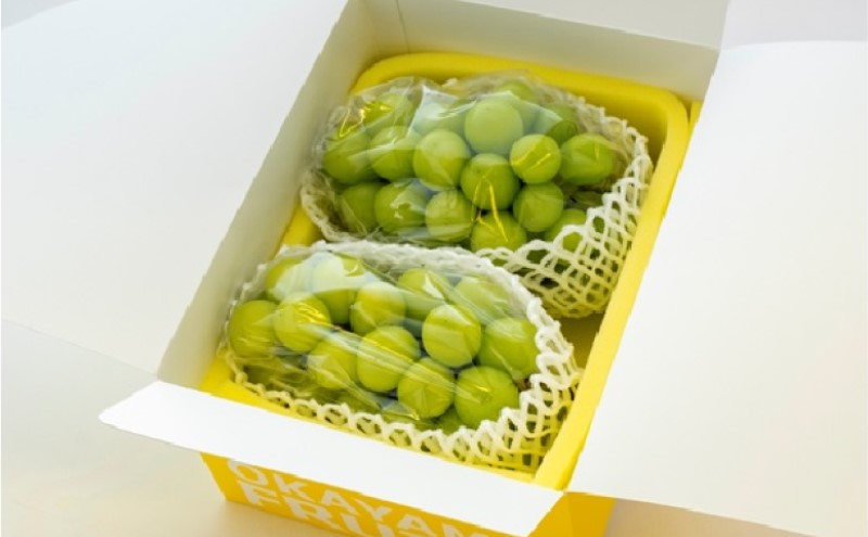 ぶどう 2026年 先行予約 ご家庭用 シャイン マスカット 2～3房 合計約1.2kg ブドウ 葡萄  岡山県産 国産 フルーツ 果物 ギフト