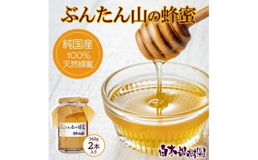 【高知県土佐市】爽やかな香り広がる100%天然蜂蜜 ぶんたん山の蜂蜜 360g 2本入り はちみつ ハチミツ 高知県産 国産 天然はちみつ 土佐 高知 【白木果樹園】