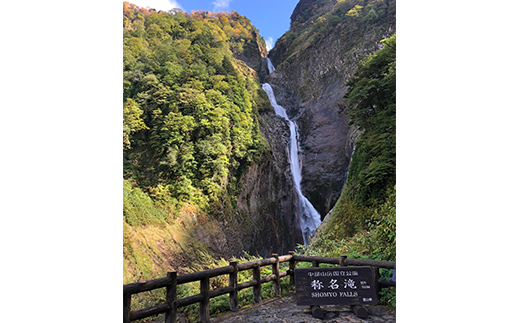 【先行予約】 お米 こしひかり 富山県立山町産 1kg×3袋 計3kg 横山ファーム 富山県 立山町 F6T-478