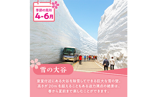 立山黒部アルペンルート ( 立山駅 ～ 室堂駅 ※往復 ) 優待券 立山黒部貫光観光 旅行 券 チケット 体験 トラベル 黒部 富山県 立山町 F6T-779
