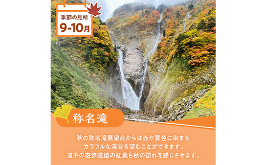 立山黒部アルペンルート ( 立山駅 ～ 室堂駅 ※往復 ) 優待券 立山黒部貫光観光 旅行 券 チケット 体験 トラベル 黒部 富山県 立山町 F6T-779