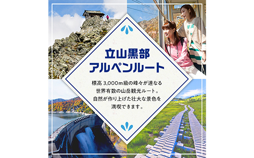 立山黒部アルペンルート ( 立山駅 ～ 黒部湖駅 ※往復 ) 優待券 立山黒部貫光観光 旅行 券 チケット 体験 トラベル 黒部 富山県 立山町 F6T-781