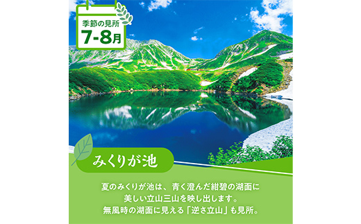 立山黒部アルペンルート ( 立山駅 ～ 黒部湖駅 ※往復 ) 優待券 立山黒部貫光観光 旅行 券 チケット 体験 トラベル 黒部 富山県 立山町 F6T-781
