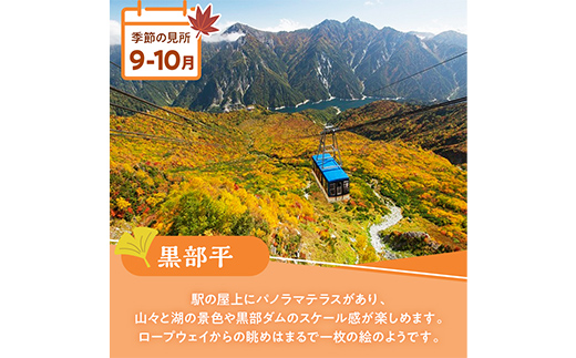 立山黒部アルペンルート ( 立山駅 ～ 黒部湖駅 ※往復 ) 優待券 立山黒部貫光観光 旅行 券 チケット 体験 トラベル 黒部 富山県 立山町 F6T-781