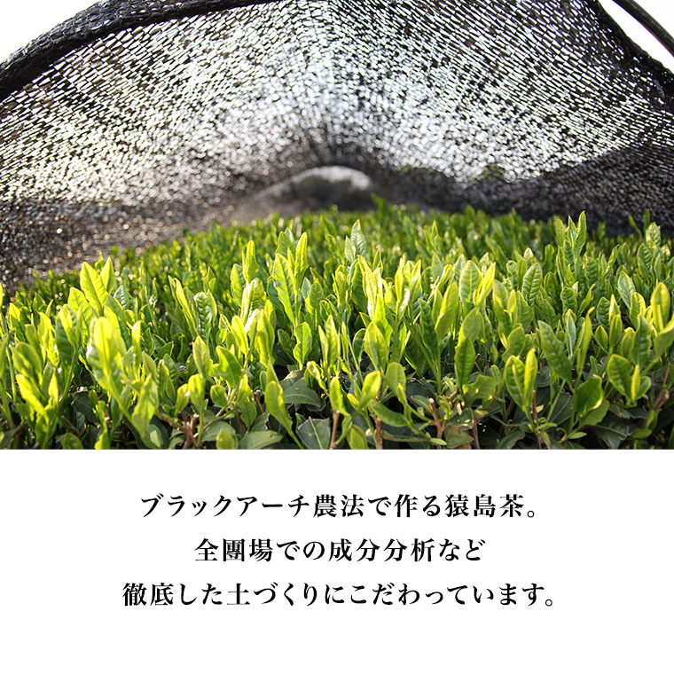真蹟集　一茶・蕪村・芭蕉　複製短冊付 蘭字茶箱 「GOODVALUE」