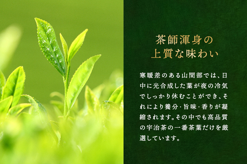 宇治深蒸し煎茶「松の匠」1kg（250g×4本）〈お茶 茶 煎茶 緑茶 高級 茶葉 深むし 深蒸し茶 茶葉 宇治 宇治茶 日本茶 飲料 加工食品〉 