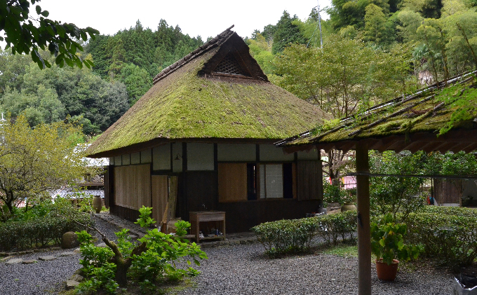 煎茶ティーバッグ　やんたん　25P×3缶〈煎茶 緑茶 お茶 茶 ティバッグ ティーパック 加工食品〉 