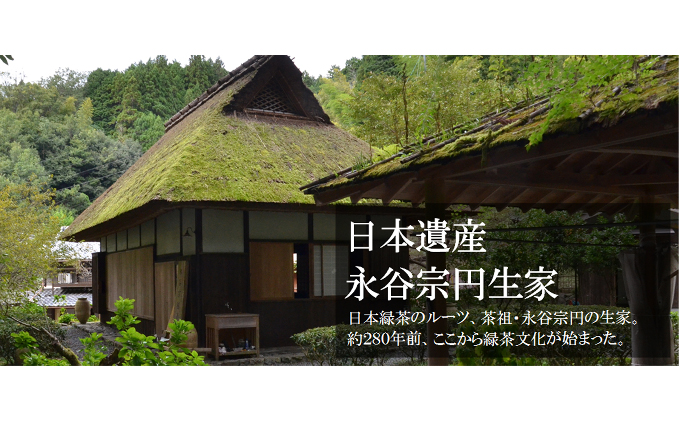 煎茶ティーバッグ　やんたん　25P×3缶〈煎茶 緑茶 お茶 茶 ティバッグ ティーパック 加工食品〉 