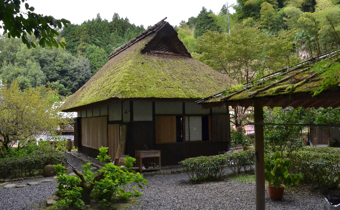 ほうじ茶ティーバッグ　やんたん　25P×3缶〈ほうじ茶 焙じ お茶 茶 ティバッグ ティーパック 加工食品〉 飲料類 