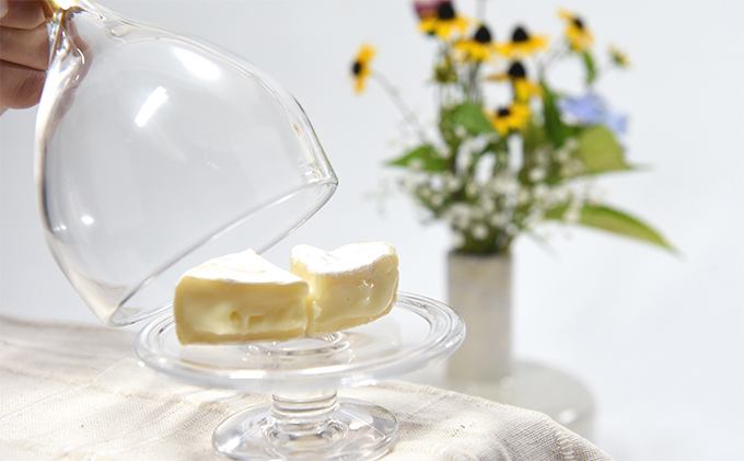 Glass dome -M- 工芸品 食器 