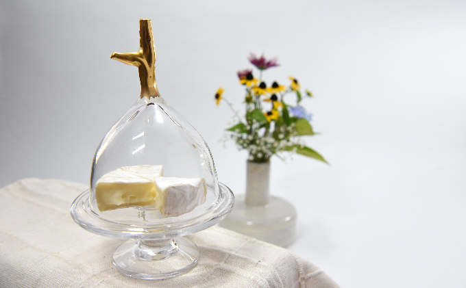 Glass dome -M- 工芸品 食器 