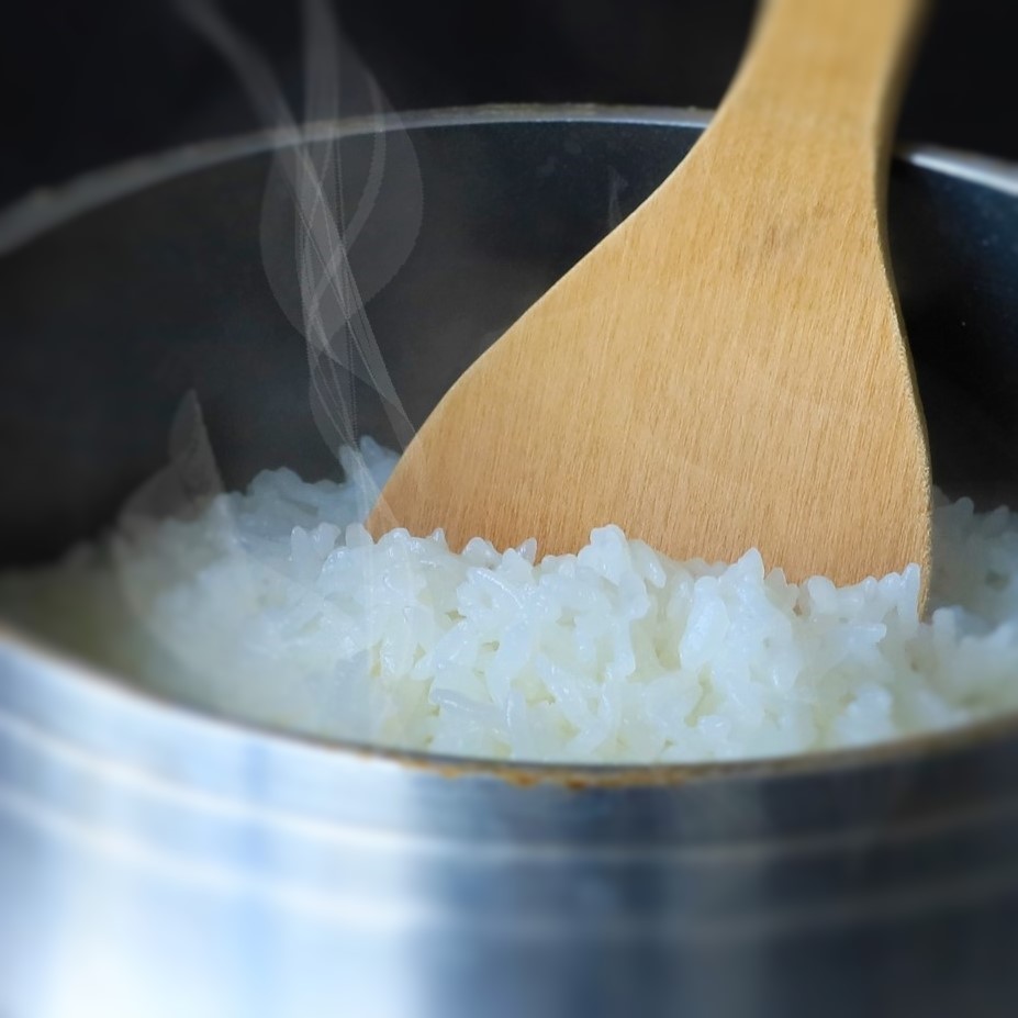 【令和６年産 コシヒカリ】白米10kg（10kg×1袋）2024年産(26-21)米 お米 米10kg お米10kg 兵庫県産 こしひかり コシヒカリ 西脇市産 令和６年産 R６年産 2024年産 精米