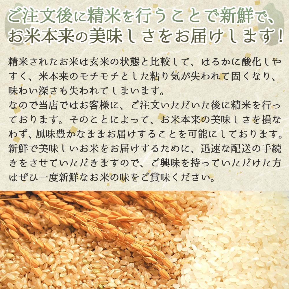 【令和６年産 コシヒカリ】白米10kg（10kg×1袋）2024年産(26-21)米 お米 米10kg お米10kg 兵庫県産 こしひかり コシヒカリ 西脇市産 令和６年産 R６年産 2024年産 精米