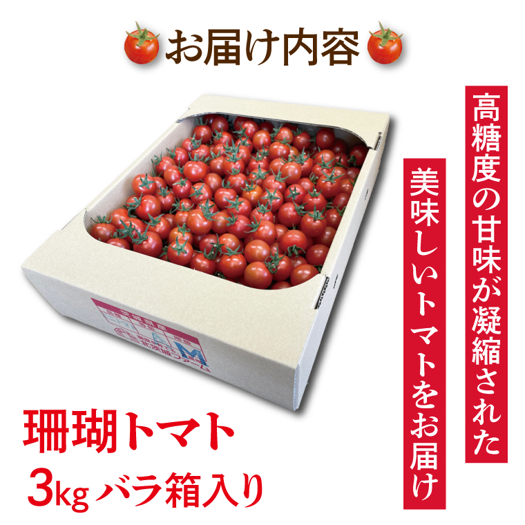 ミニトマト　MIX９ｋｇ(３ｋｇ×3) Amazon.co.jp: 熊本県産 （ 九州 ） ミニトマト 1ケース 3kg