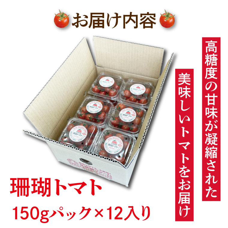 【先行予約】珊瑚トマト　150ｇパック×12入り【野菜 トマト とまと ミニトマト みにとまと フルーツトマト 新鮮 リコピン ビタミン】（AX202）