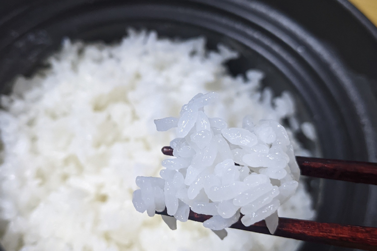 ★五つ星マイスター★【令和7年産新米】正直米こしひかり（特秀）5kg　特別栽培米 【 米 お米 精米 こしひかり コシヒカリ コンテスト 受賞  特別米  5kg】(BC202)